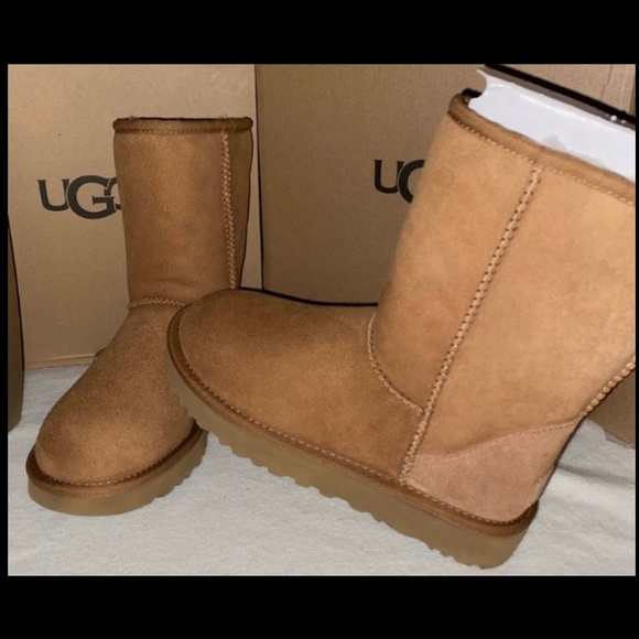 UGG Shoes - UGG CLASSIC SHORT